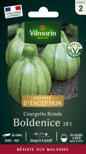 Courgette Boldenice F1 - Graines d'Exception